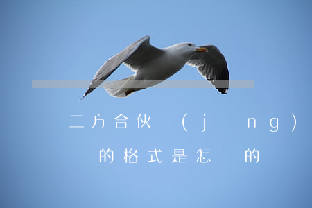 三方合伙經(jīng)營協(xié)議書的格式是怎樣的