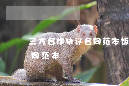 三方合作协议合同范本(饭店三方合作协议合同范本)