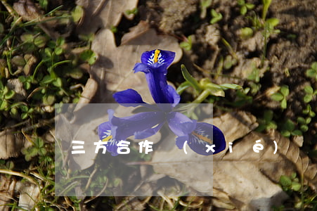 三方合作協(xié)議
