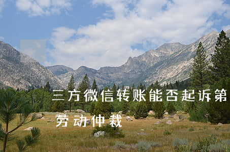 三方微信转账能否起诉(第三方微信转账可以劳动仲裁)