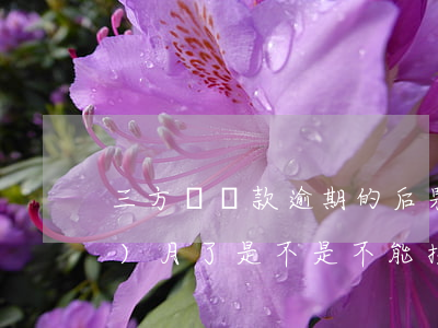 三方車還款逾期的后果(車款逾期三個(gè)月了是不是不能按月還了)