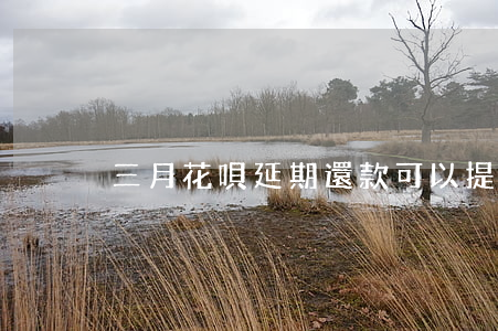 三月花唄延期還款可以提前還嗎-