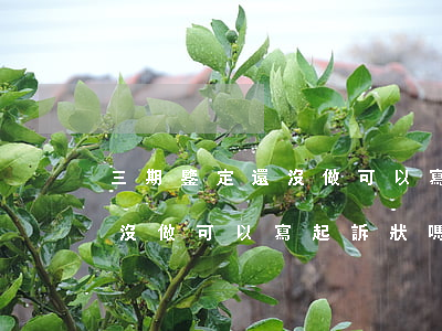 三期鑒定還沒做可以寫起訴狀嗎(三期鑒定還沒做可以寫起訴狀嗎)