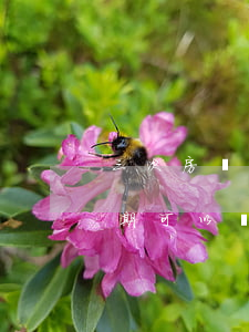 三次房貸逾期可以辦理信用卡嗎(三次房貸逾期可以辦理信用卡嗎嗎)
