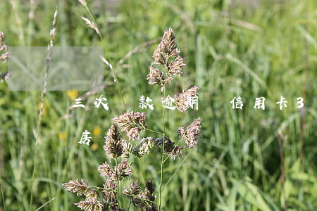 三次貸款逾期辦信用卡 3次信用卡逾期能辦房貸