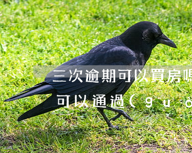 三次逾期可以買房嗎-3年前逾期7次買房可以通過(guò)嗎