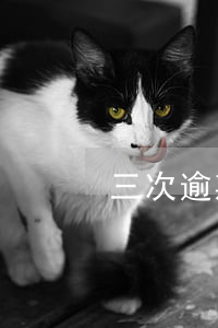 三次逾期贷款买车吗(车贷逾期两次)