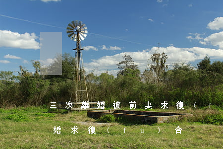 三次離婚被前妻求復(fù)合(前夫二婚離婚求復(fù)合)