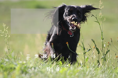 三步玩轉(zhuǎn)不良資產(chǎn)投資