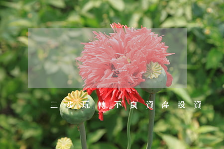 三步玩轉不良資產投資