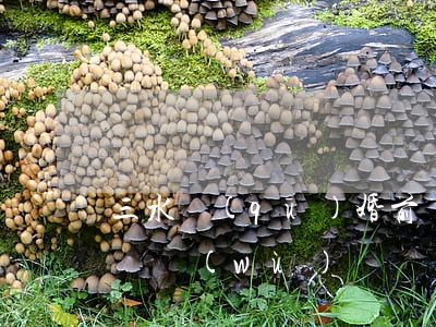 三水區(qū)婚前債務(wù)律師(婚前債務(wù)糾紛)