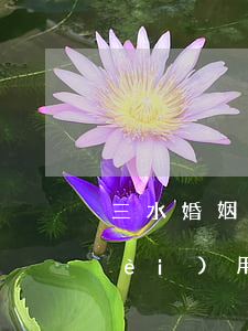 三水婚姻家庭律師聘請(qǐng)費(fèi)用(三水區(qū)律師事務(wù)所免費(fèi)咨詢)
