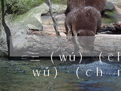 三無(wú)產(chǎn)品是指(三無(wú)產(chǎn)品是指哪三無(wú)怎樣賠償)