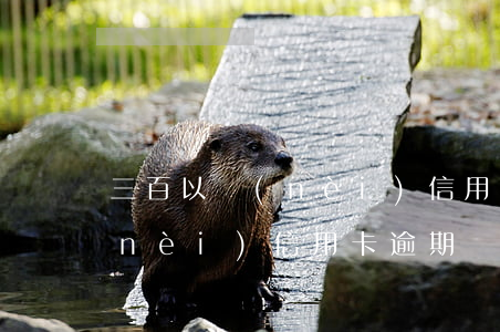 三百以內(nèi)信用卡逾期(三百以內(nèi)信用卡逾期會怎么樣)