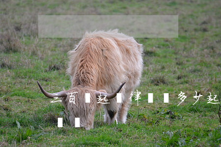 三百萬起訴律師費多少(起訴3萬元要多少律師費)