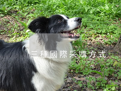三種國際采購方式