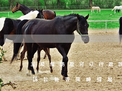 三級信訪后可以行政訴訟訴訟嗎(信訪和行政訴訟能否同時提起)