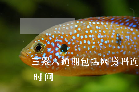 三累六逾期包括网贷吗(连三累六逾期是多长时间)