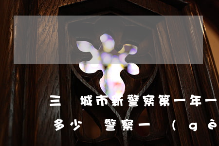 三線城市新警察第一年一個(gè)月能掙多少錢(警察一個(gè)月收入)