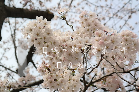 三線城市新警察第一年一個月能掙多少錢(警察一個月收入)