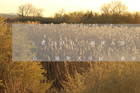 三者200萬撞死人能賠多少(第三者買200萬撞死人可以賠多少)