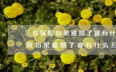 三者保險如果逾期了會有什么后果-三者保險如果逾期了會有什么后果嗎