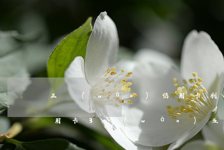 三萬(wàn)信用卡利息計(jì)算(信用卡3萬(wàn)五一個(gè)月利息多少?)