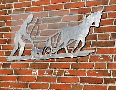 三萬(wàn)元信用卡逾期不還(信用卡逾期三千元沒(méi)還上怎么辦)