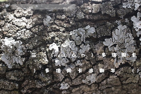 三萬(wàn)多信用卡逾期(三萬(wàn)多信用卡逾期半個(gè)月沒(méi)錢(qián)還怎么辦哪里有辦法借到)