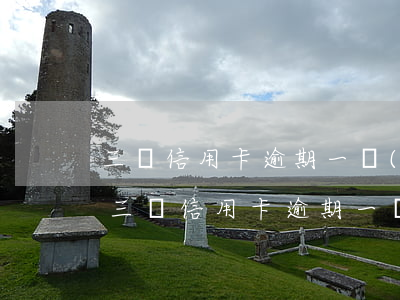 三萬信用卡逾期一個(gè)月利息多少-三萬信用卡逾期一個(gè)月利息多少錢