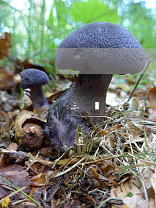 三萬信用卡逾期一年利息(3000元信用卡逾期三年利息多少錢)