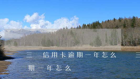 三萬信用卡逾期一年怎么處罰 三萬信用卡逾期一年怎么處罰