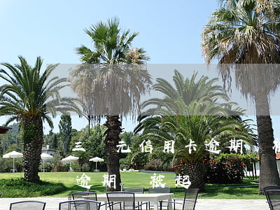 三萬元信用卡逾期會被起訴嗎(三萬元信用卡逾期會被起訴嗎)