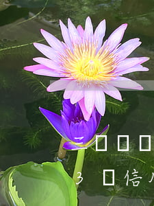 三萬塊錢的信用卡逾期會(huì)坐牢嗎（3萬信用卡逾期半年會(huì)坐牢嗎）