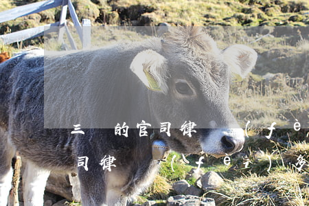 三萬的官司律師費(fèi)多少(三萬的官司律師費(fèi)多少)