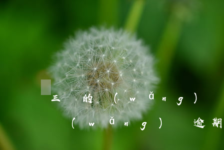 三萬的網(wǎng)貸逾期兩年利息多少 網(wǎng)貸逾期三年利息怎么算