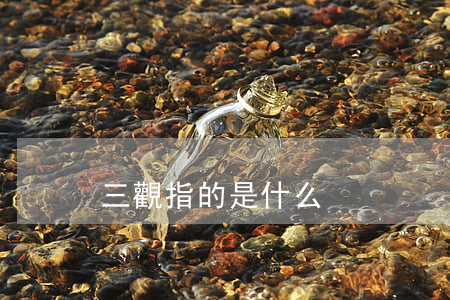 三觀指的是什么