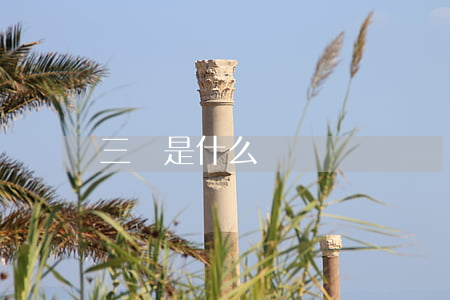 三觀是什么