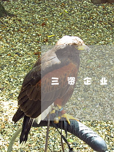 三资企业法(三资企业法是指什么) 三资企业法(三资企业法是指什么)