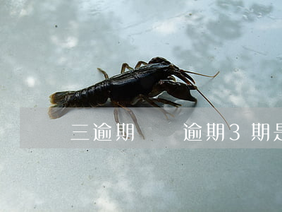 三逾期記錄(逾期3期是多久)