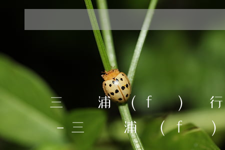 三門峽浦發(fā)銀行信用卡個性化分期-三門峽浦發(fā)銀行信用卡個性化分期還款