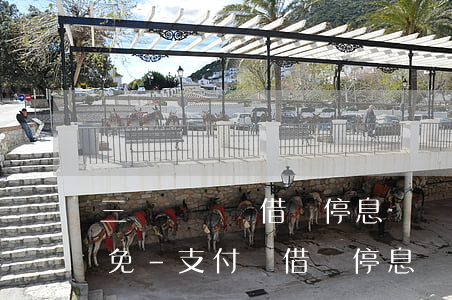 三門峽螞蟻借唄停息掛賬協(xié)商減免-支付寶借唄停息掛賬申請(qǐng)條件