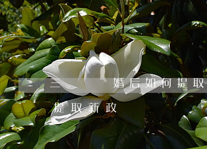 三門峽離婚后如何提取公積金(三門峽公積金提取新政)