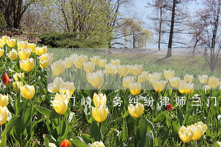 三门峡债务纠纷律师(三门峡债务纠纷律师)