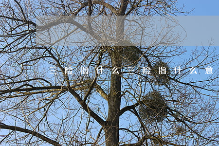 三险指什么,三险指什么意思 三险指什么,三险指什么意思