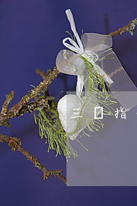 三險指什么,三險指什么意思 三險指什么,三險指什么意思