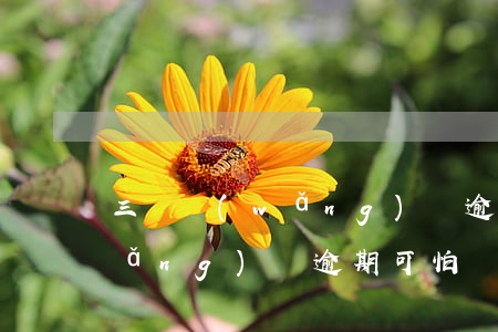 三類網(wǎng)貸逾期會怎么樣(網(wǎng)貸逾期可怕嗎)