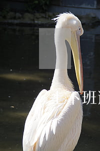 上下班途中工傷新規(guī)定