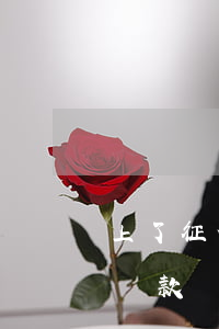 上了征信的逾期怎么辦(上征信逾期了還可以貸款嗎)