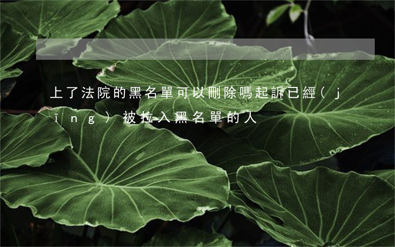 上了法院的黑名單可以刪除嗎(起訴已經(jīng)被拉入黑名單的人)